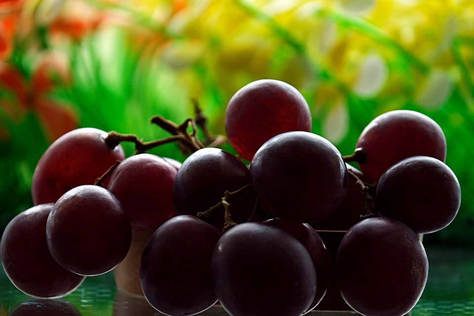 Nutrients Food for build muscle