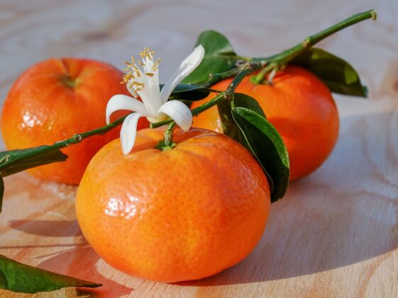 Vitamins to build muscle