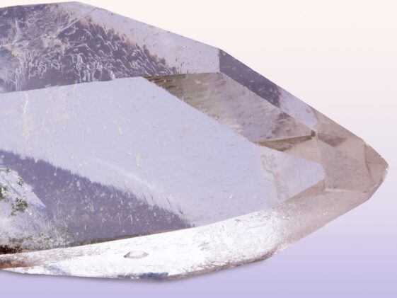 Minerals to build muscle