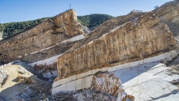 Minerals to build muscle