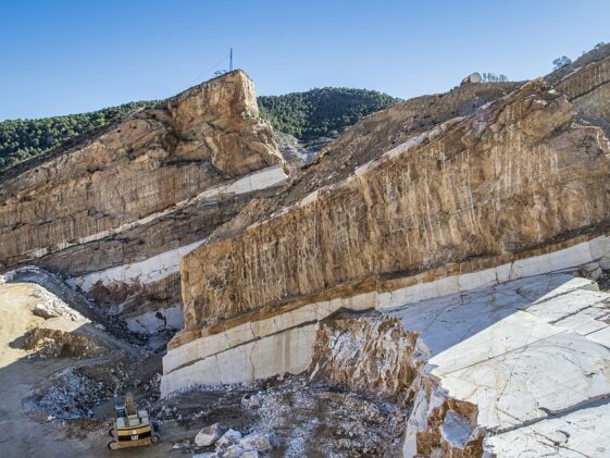 Minerals to build muscle