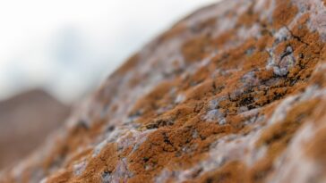 Minerals to build muscle