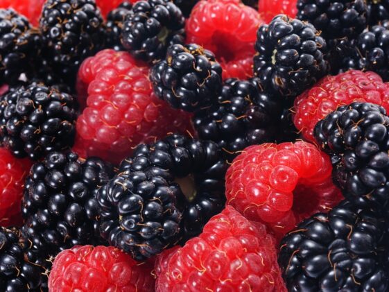 Vitamins to build muscle