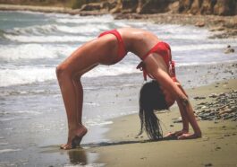 What is the largest amount of nutrients to build muscle from human body