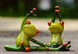 What is the largest amount of nutrients to build muscle from human body