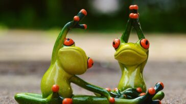 What is the largest amount of nutrients to build muscle from human body