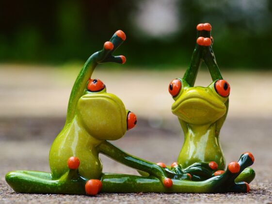 What is the largest amount of nutrients to build muscle from human body