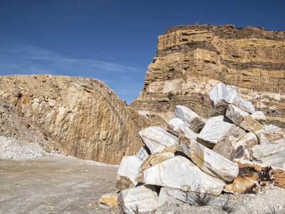 Minerals to build muscle