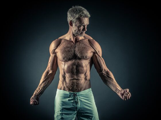 fitness gym strength training