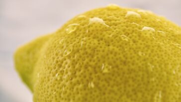 Vitamins to build muscle