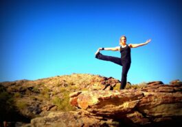 starting from the highest percentage