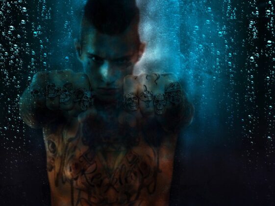 fitness gym strength training