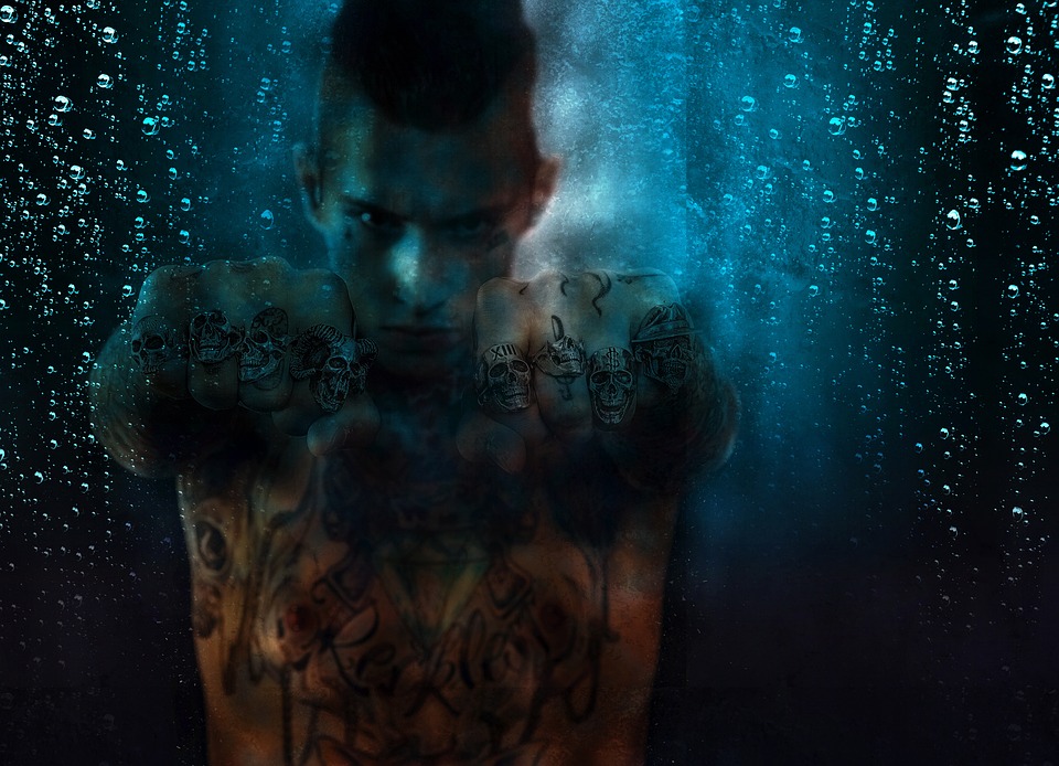 fitness gym strength training