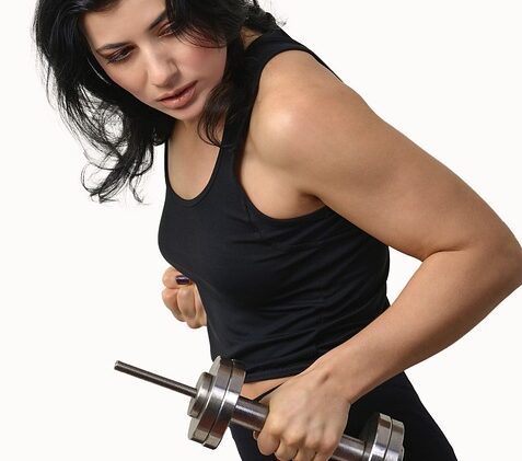 fitness gym programs muscle gain