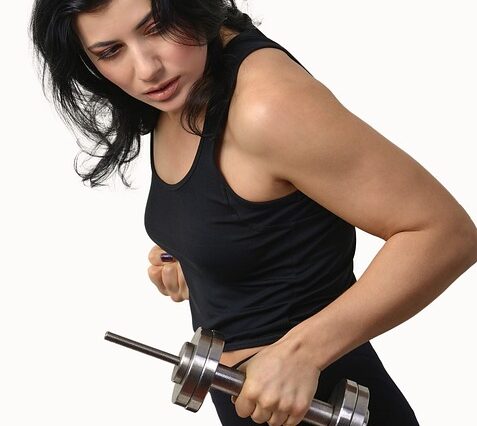 fitness gym programs muscle gain