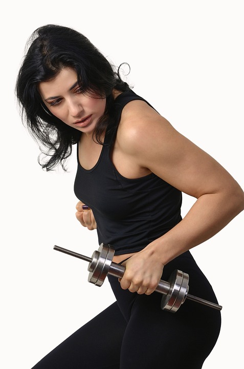 fitness gym programs muscle gain