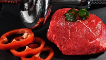 fitness gym programs weight loss