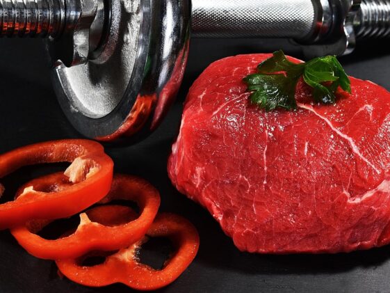 fitness gym programs weight loss