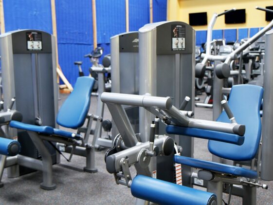 fitness gym programs weight loss