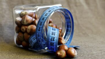 fitness gym programs muscle gain