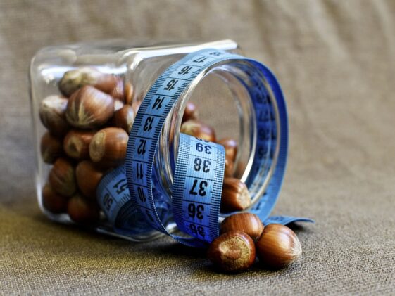 fitness gym programs muscle gain