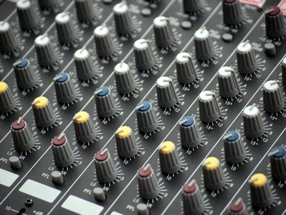 fitness gym programs muscle gain