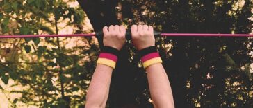 fitness gym programs muscle gain