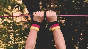 fitness gym programs muscle gain