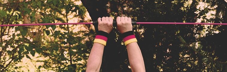 fitness gym programs muscle gain