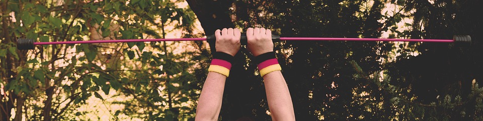 fitness gym programs muscle gain