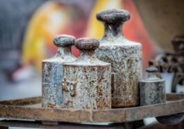 fitness gym programs weight loss