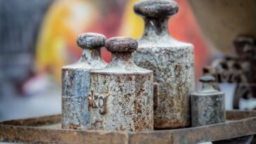 fitness gym programs weight loss