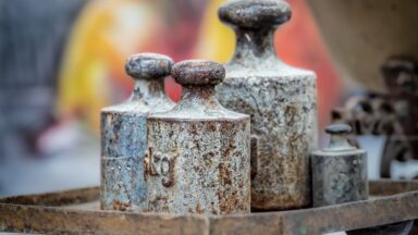 fitness gym programs weight loss