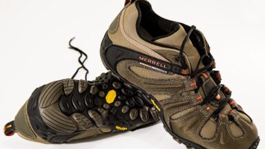 fitness gym strength training