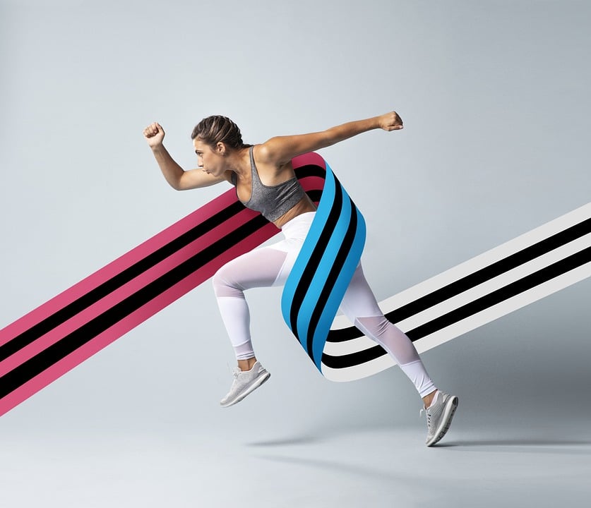 fitness gym programs muscle gain